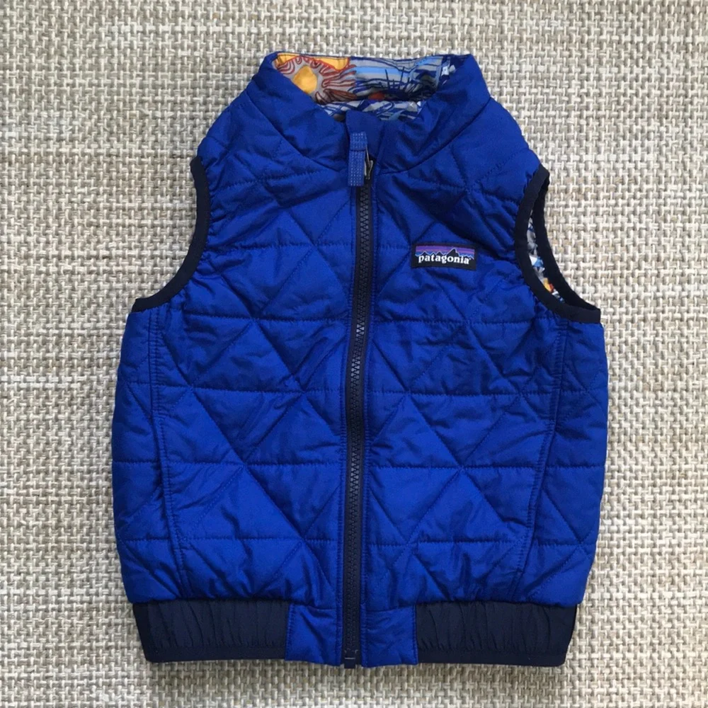 Patagonia Reversible Vest